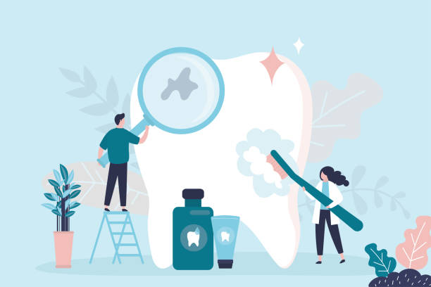 Trusted South Bloomfield, OH Holistic Dental Care Services Experts